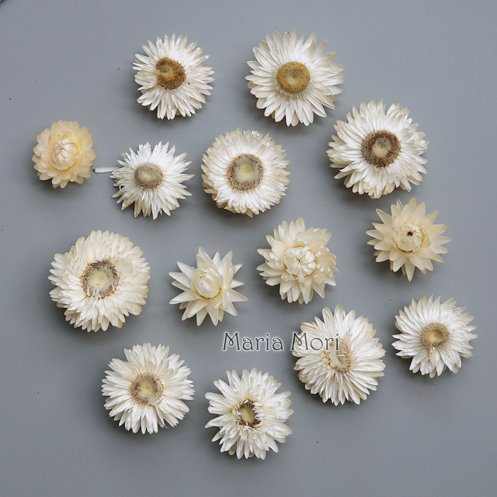 Natural Dried Colorful Chrysan - Candle Making Products recension och pris