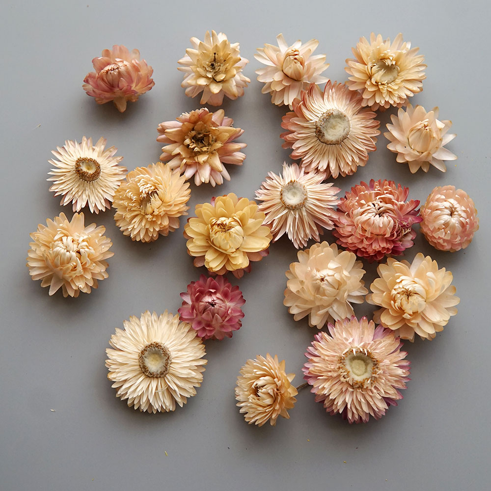 Natural Dried Colorful Chrysan - Candle Making Products recension och pris