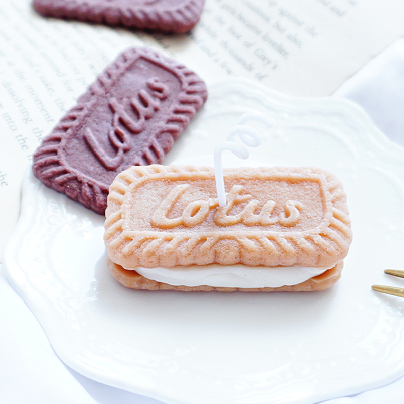 DIY Biscuit Shape Candle Silic - Candle Making Jelly recension och pris